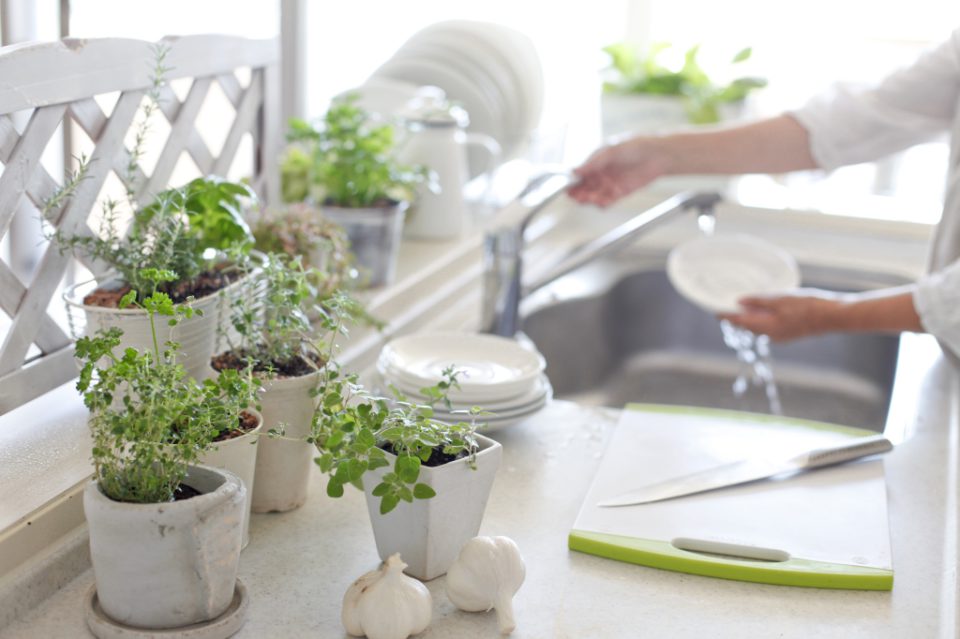 Planten in keuken 5 x inspiratie Ik woon fijn