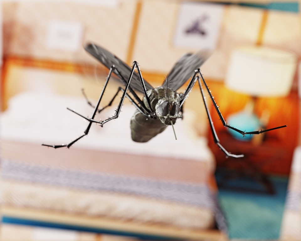 middel tegen muggen op slaapkamer