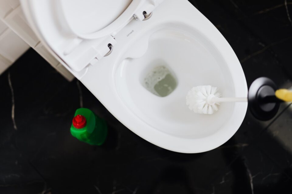 Wat mag je niet door de wc spoelen? | Ik woon fijn